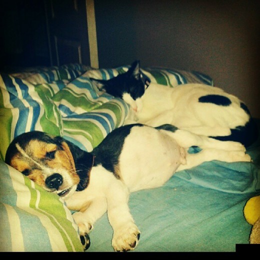 Thor durmiendo con su hermanita Nikki Thor durmiendo con su hermanita Nikki